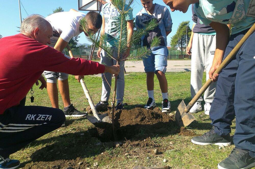 Green Home, sadnja u tri osnovne škole, Foto: Green Home