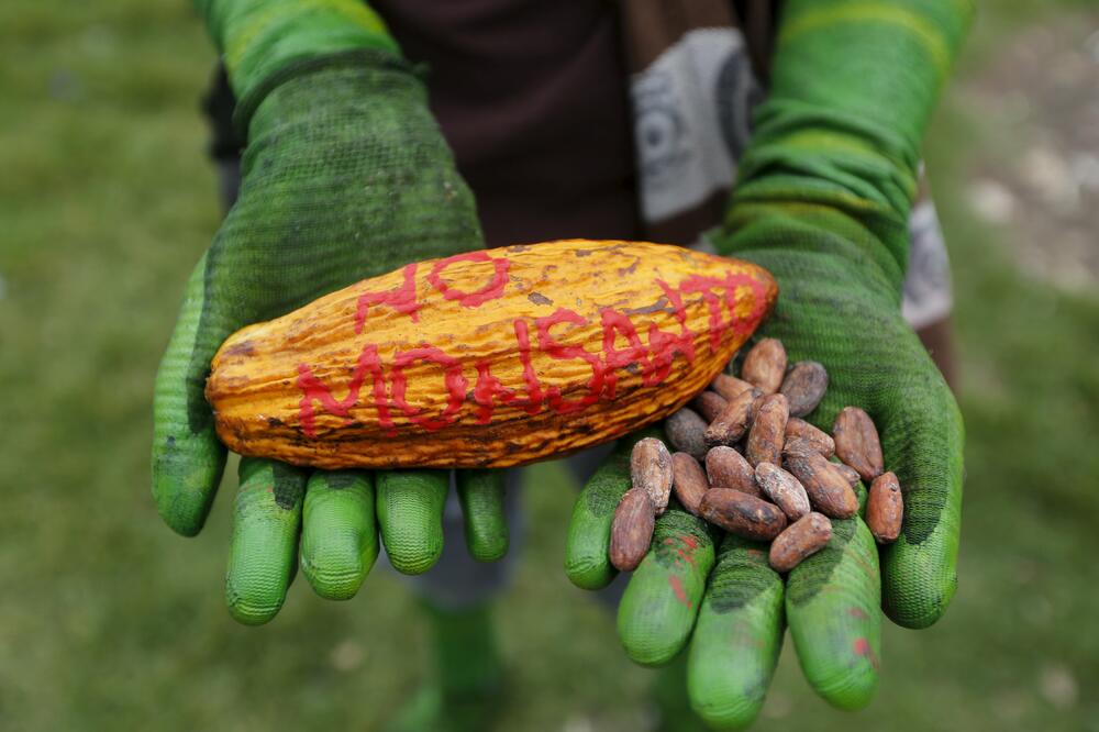 Monsanto, GMO, Foto: Reuters