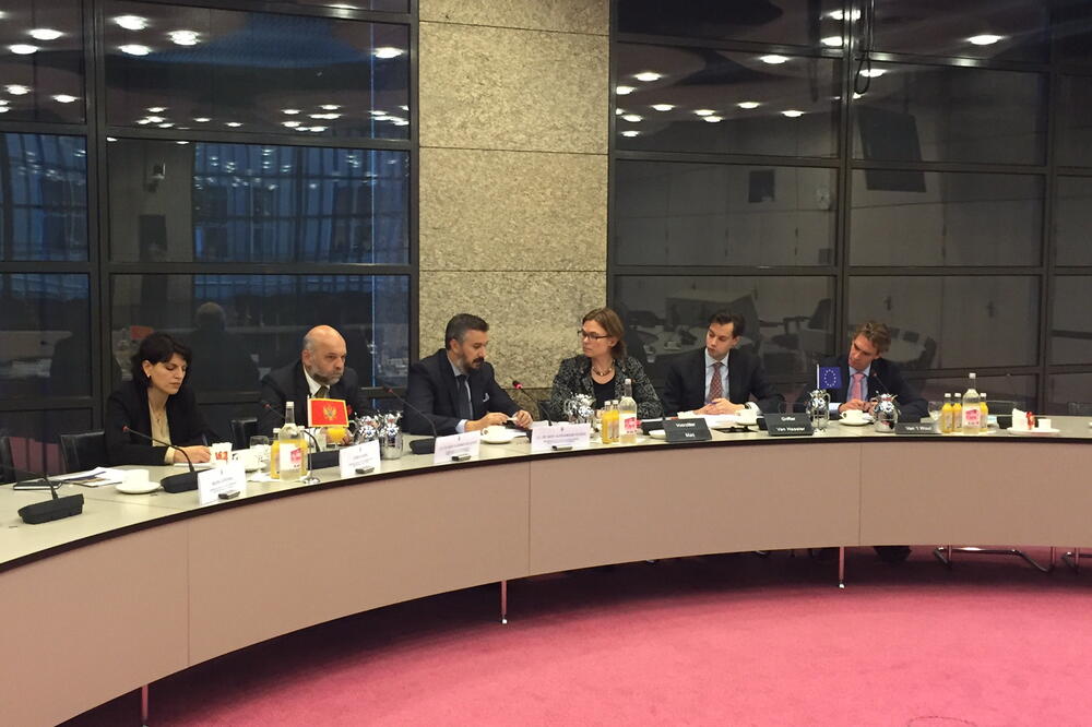 Aleksandar Andrija Pejović, Foto: MVPEI