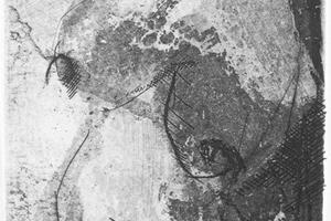 Priznanje Jeleni Jovančov na Bijenalu u BIH