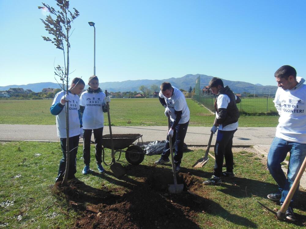 Nikšić šetalište, uređenje