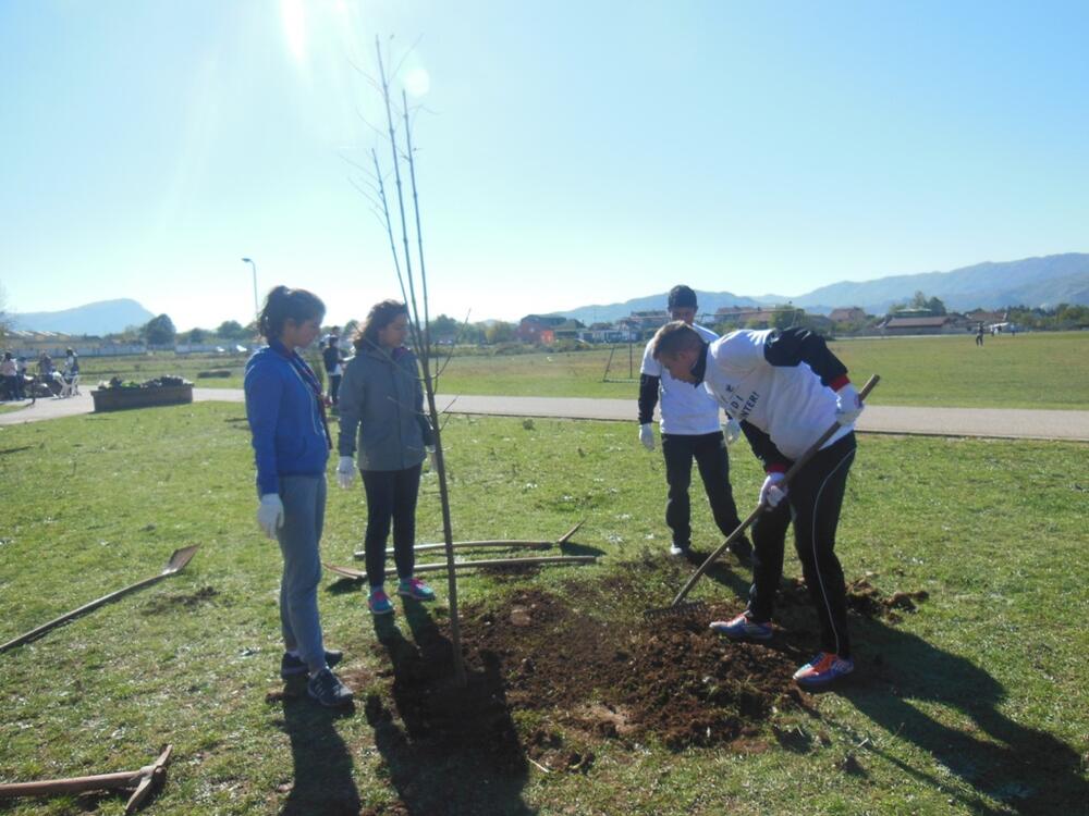 Nikšić šetalište, uređenje