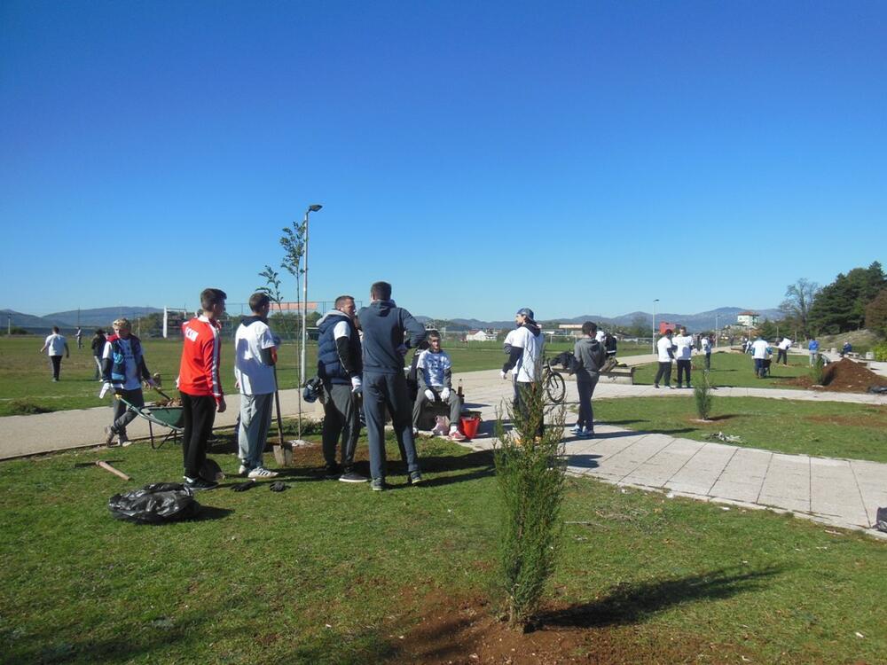 Nikšić šetalište, uređenje