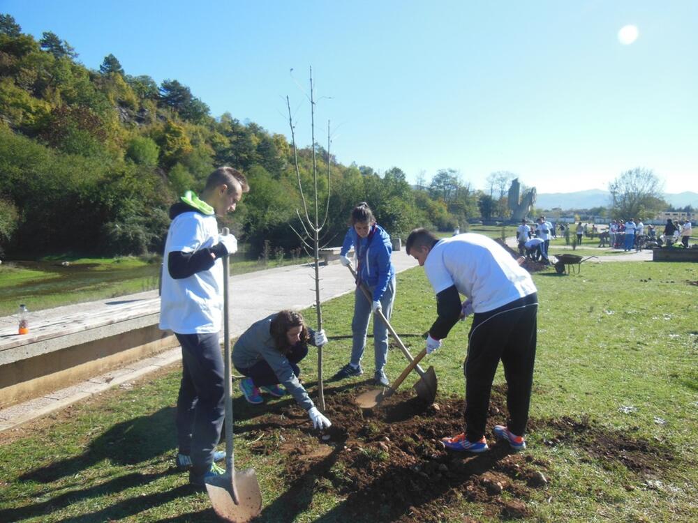 Nikšić šetalište, uređenje