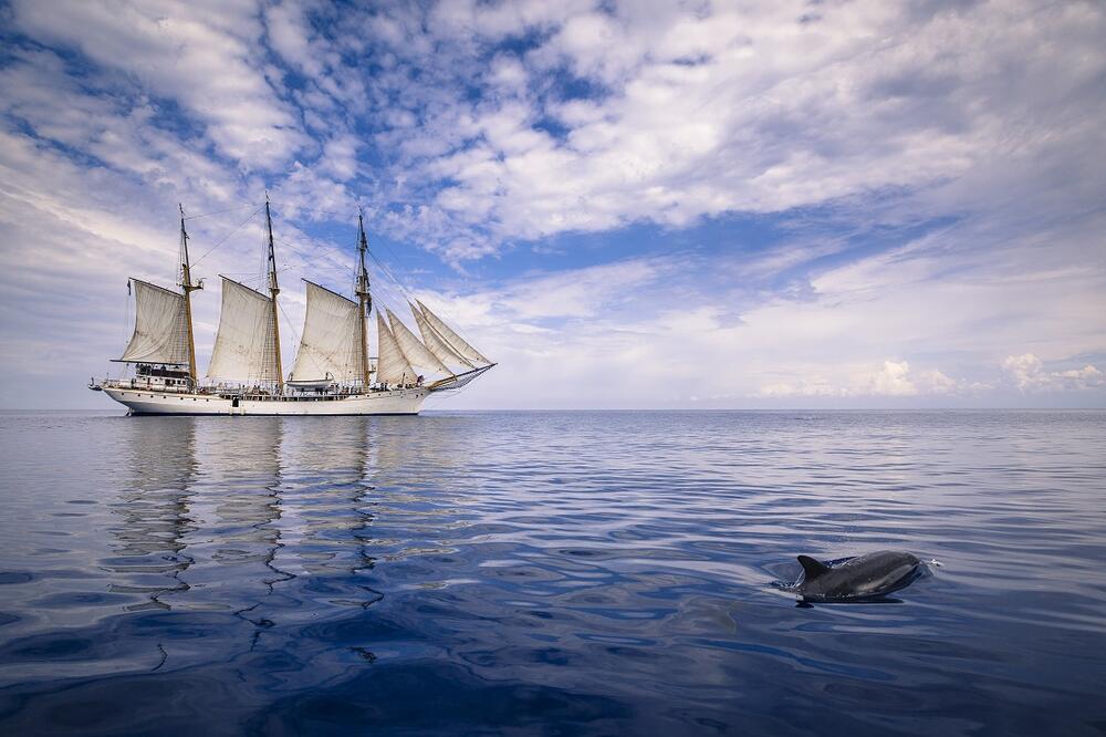 fotografija Stevan Kordić, Foto: Stevan Kordić