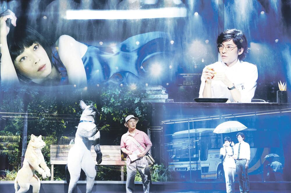 Kafka na obali (Novina)