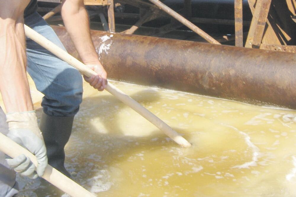 Solana, Foto: Arhiva Vijesti