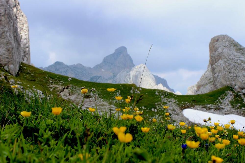 Durmitor, Foto: Facebook/GSS Crne Gore
