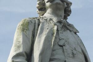 Izabrana Floberova pisma: Zanimljivo uprkos cenzurisanju