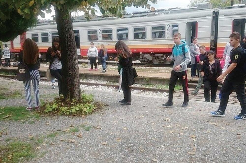 voz, Virpazar, Foto: Čitalac reporter