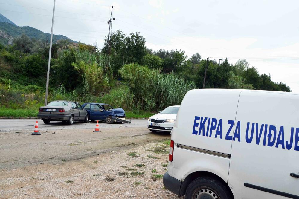 Bar udes, Foto: Anto Baković