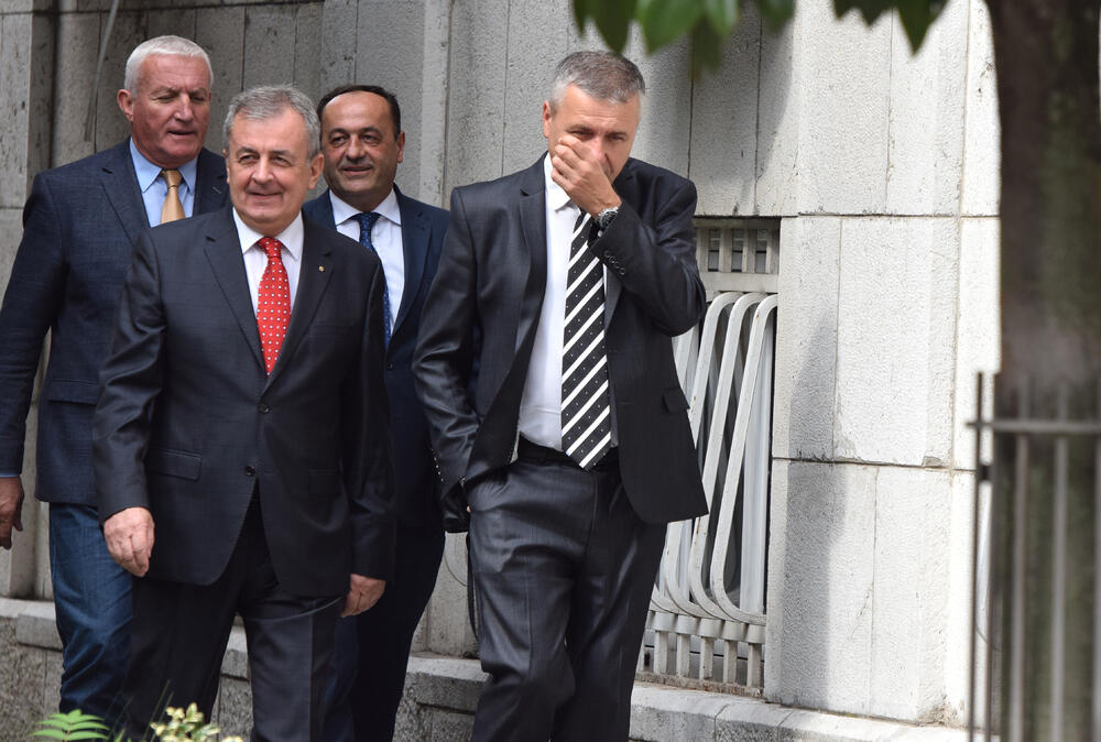 protest Demokratski front