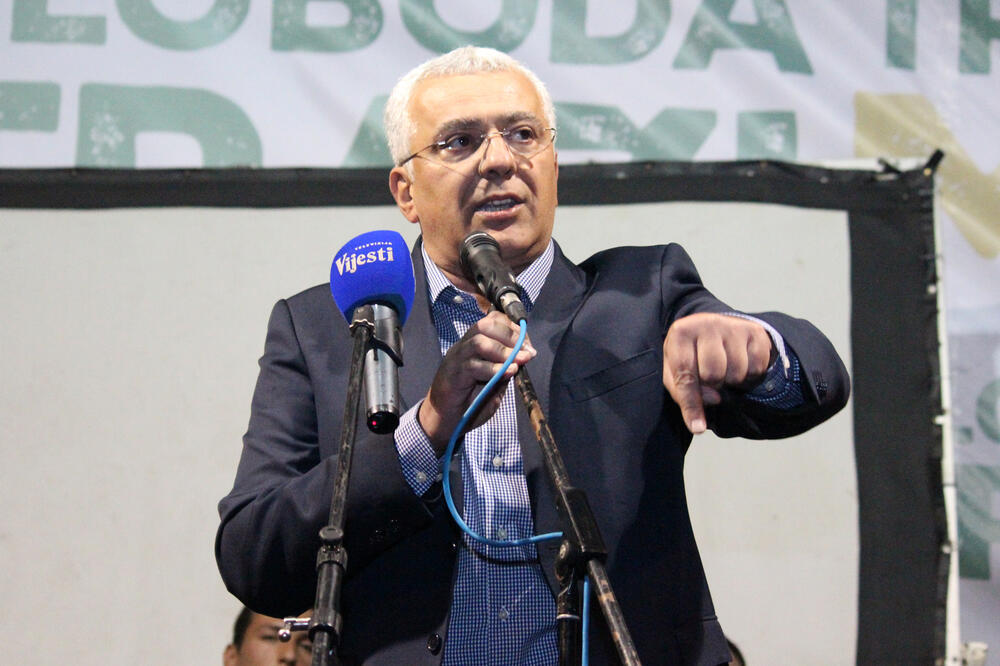 protest DF, Andrija Mandić, Foto: Filip Roganović