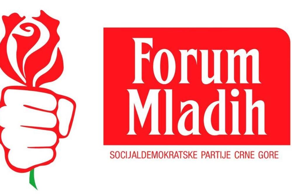 Forum mladih SDP, Foto: SDP