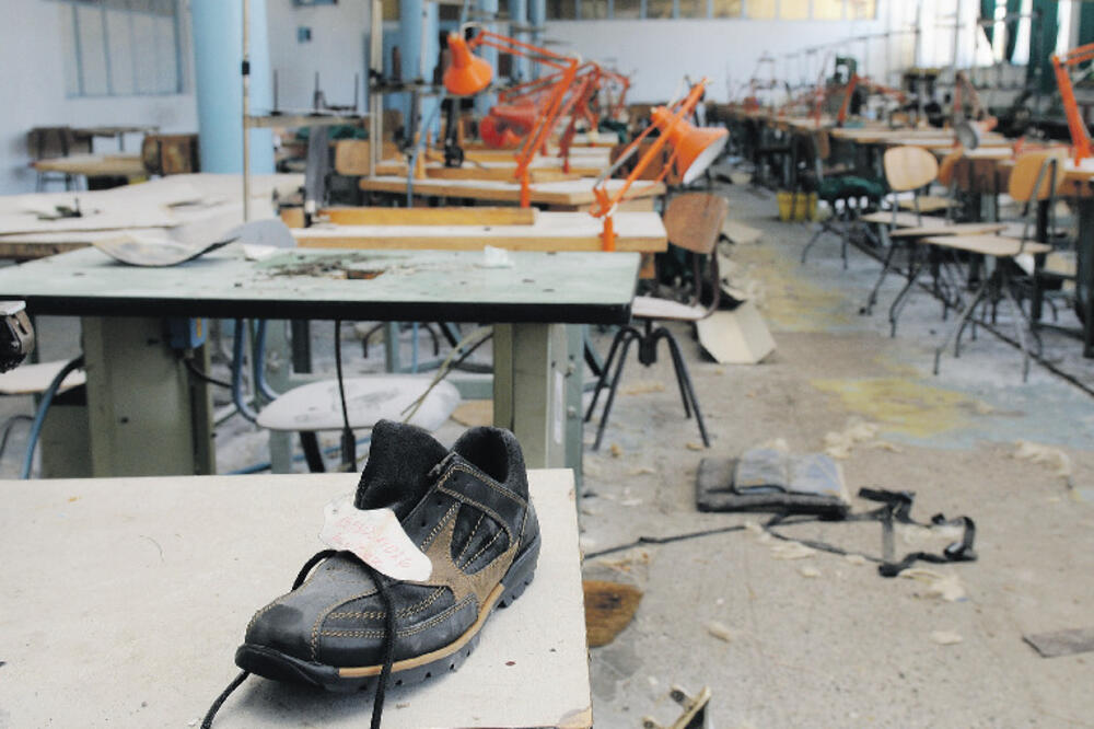 Košuta, Foto: Savo Prelević