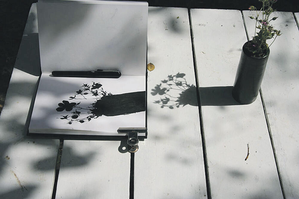 Cvijeće, Foto: Alan-johnston.com