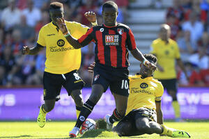 Porodica bacala čini na Gradela?!