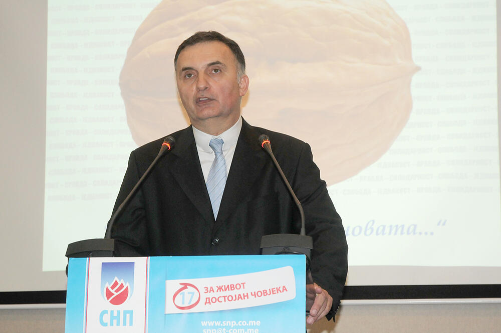 Srđan Milić, SNP, Foto: Zoran Đurić