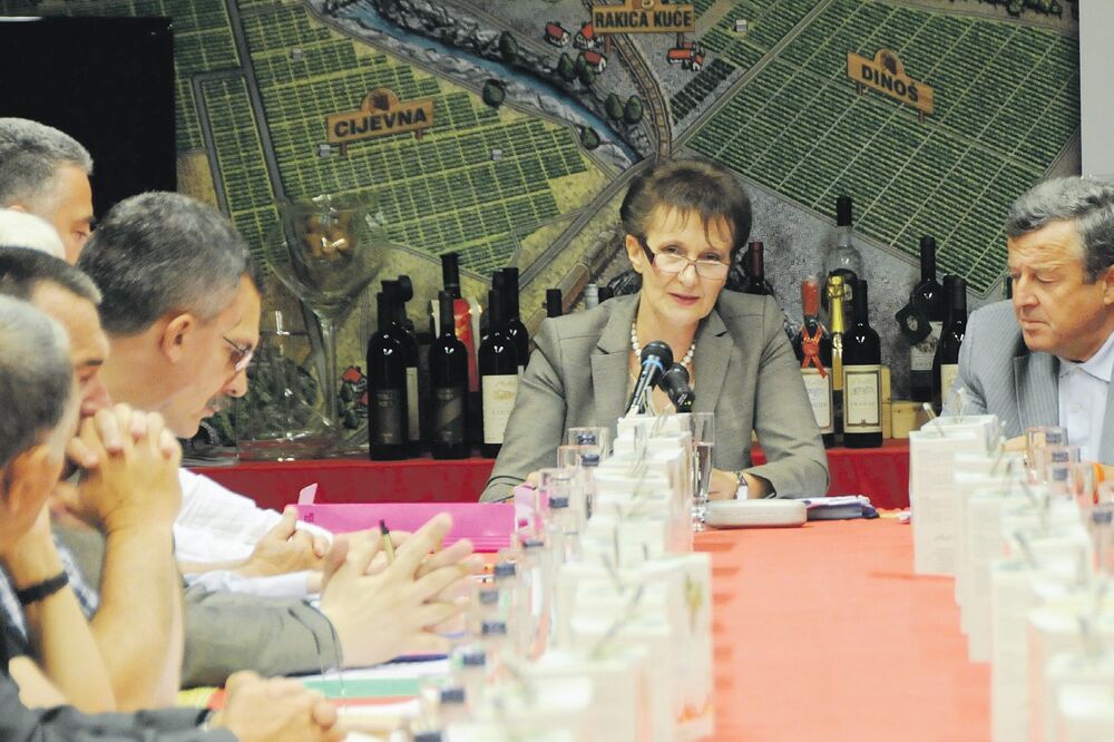 Verica Maraš, Plantaže, Foto: Boris Pejović