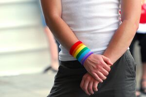 LGBT Forum Progres: Roditelji prihvatili svog gej sina