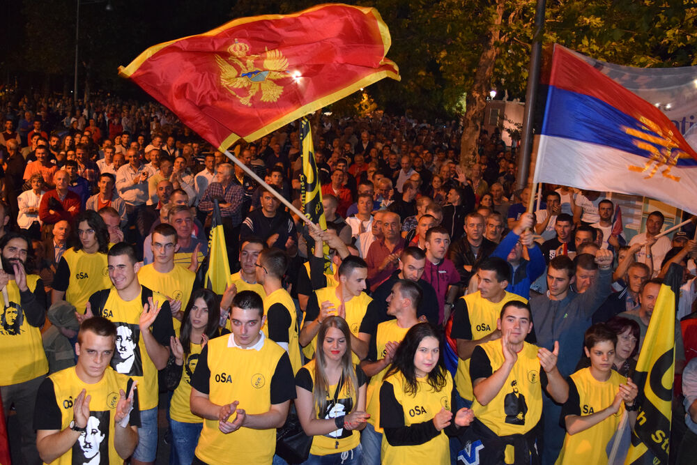 protest Demokratski front 3.10