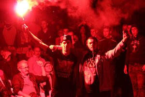 Po bubrezima opozicije