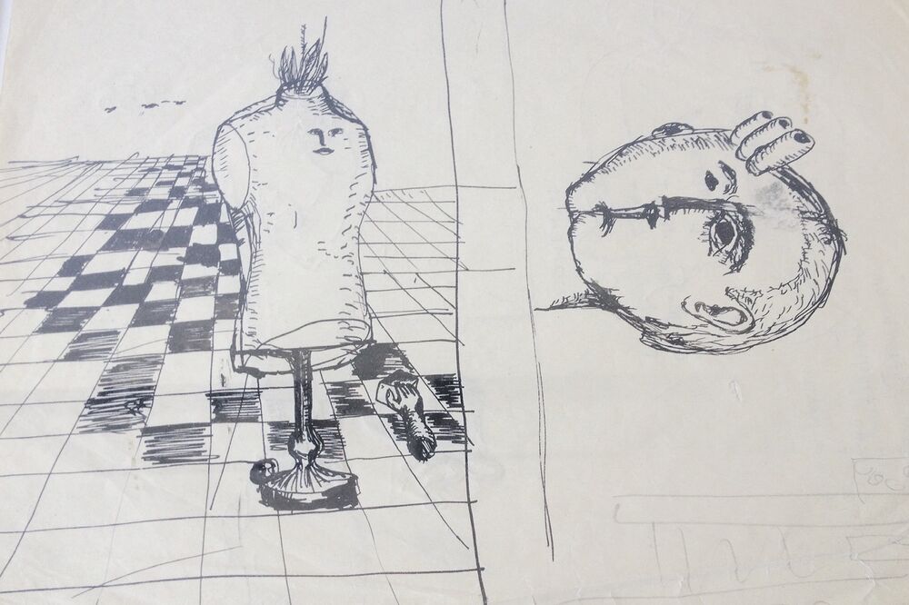 Vukota Tupa Vukotić (Novina)