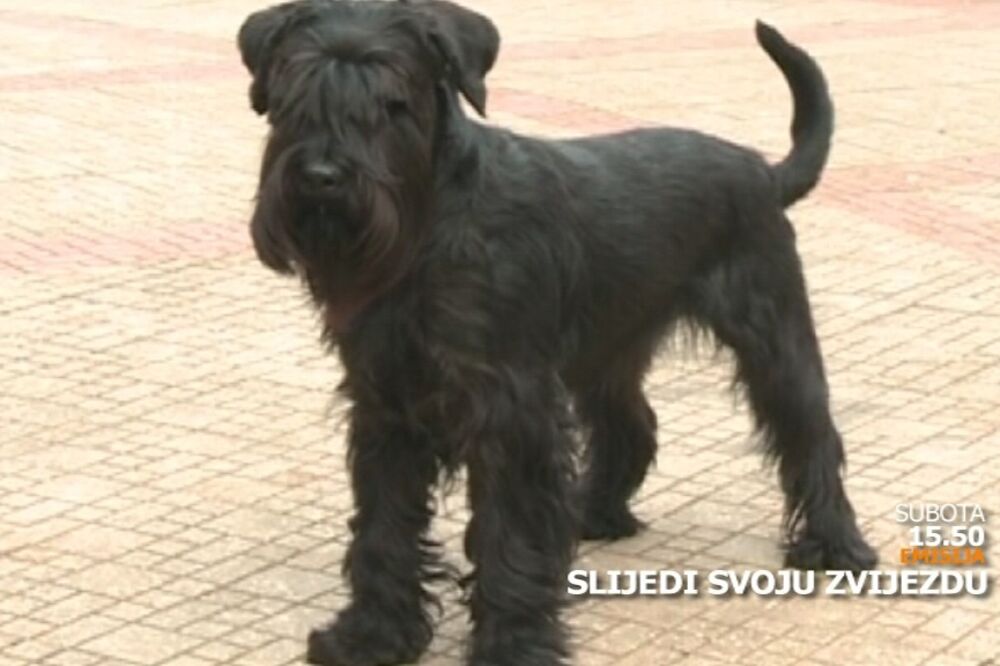 Slijedi, Foto: TV Vijesti