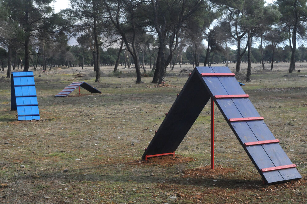 park za pse Rea, Foto: Vesko Belojević