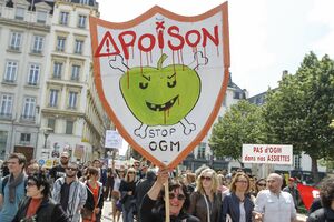 Većina zemalja EU ne želi GMO