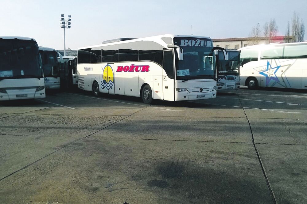 Božur, Foto: AUTOBUSI.NET