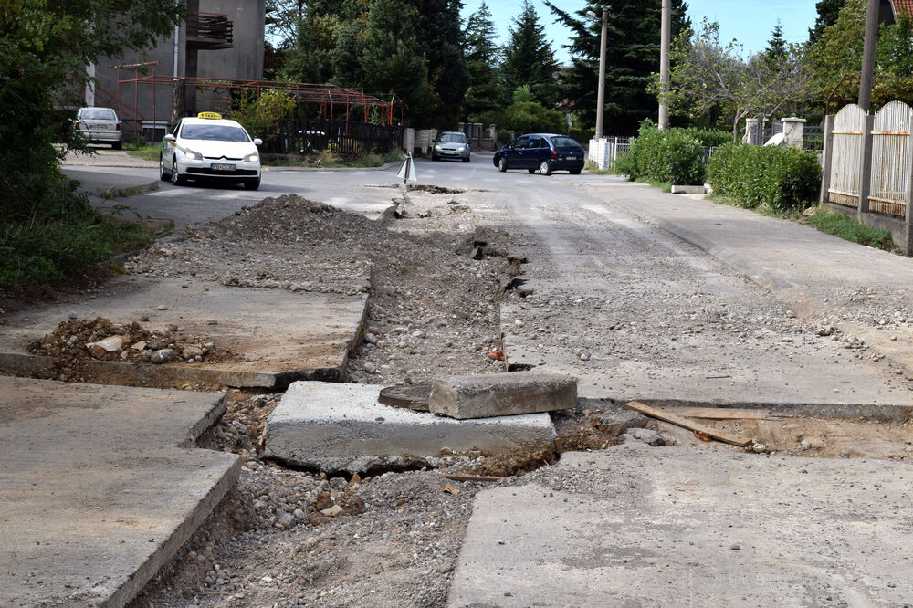 Masline, ulica, Foto: Luka Zeković
