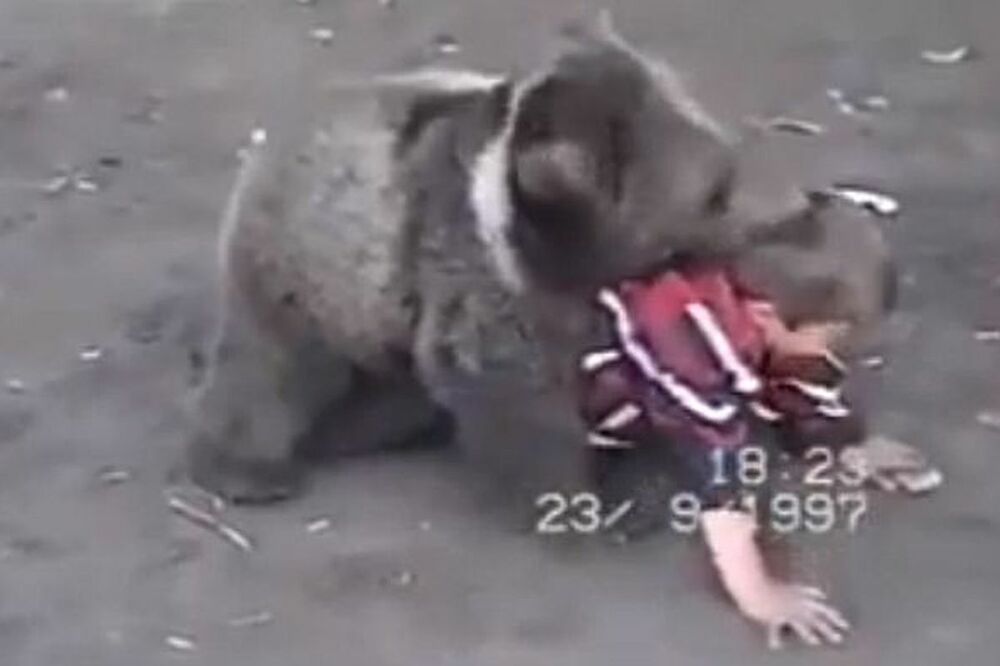 Habib u borbi sa medvjedom prije 20 godina