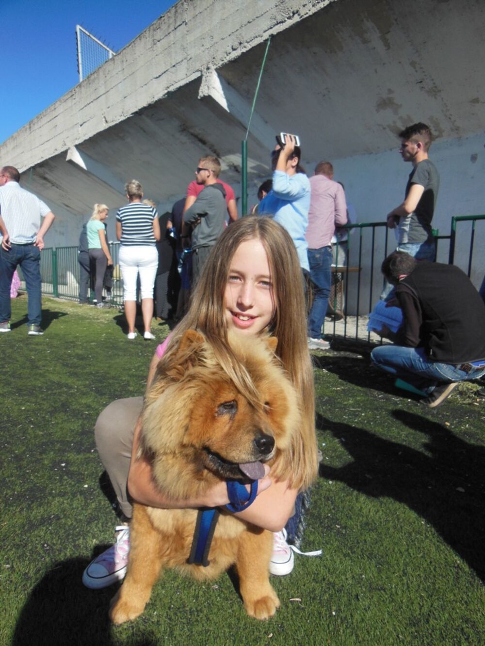 izložba pasa Nikšić