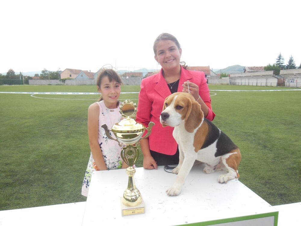 izložba pasa Nikšić