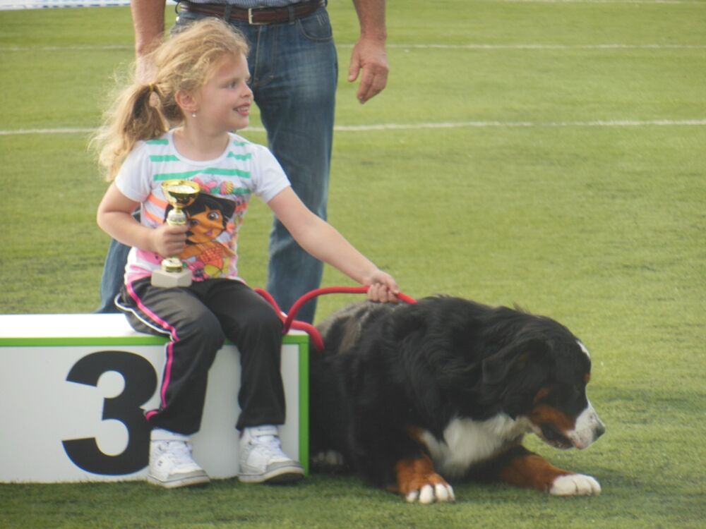 izložba pasa Nikšić