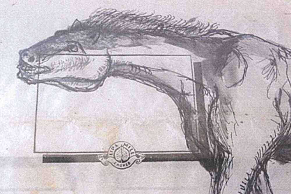 Vukota Tupa Vukotić (Novina)