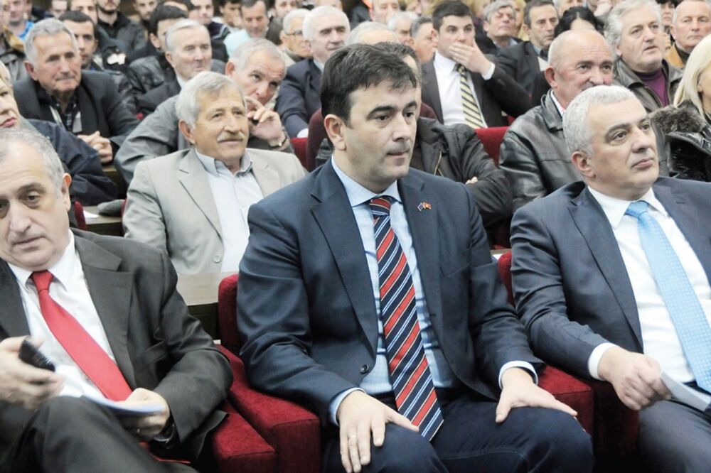 Nebojša Medojević, Andrija Mandić, Foto: Boris Pejović