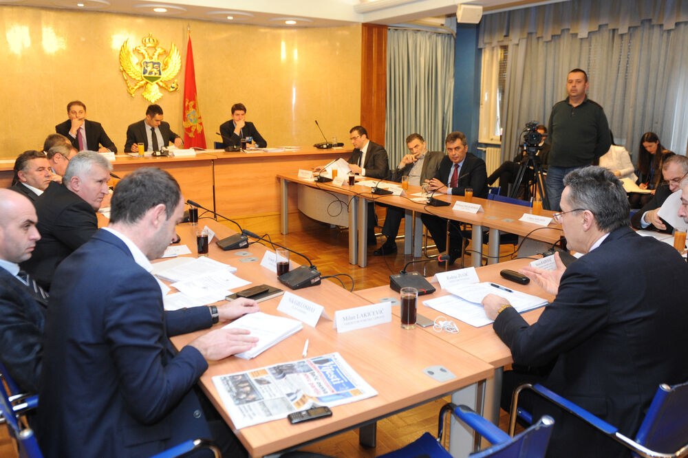 Odbor za ekonomiju, Foto: Savo Prelević