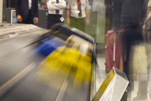 Srbija: Carinici otkrili halucinogen koji raste u Amazonu