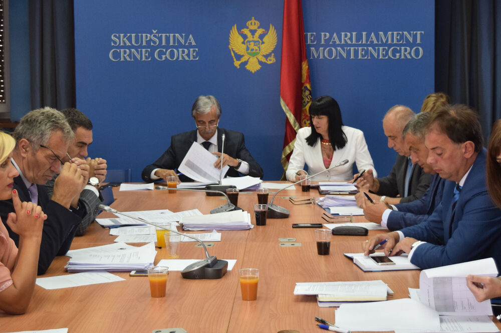 Administrativni odbor, Foto: Luka Zeković