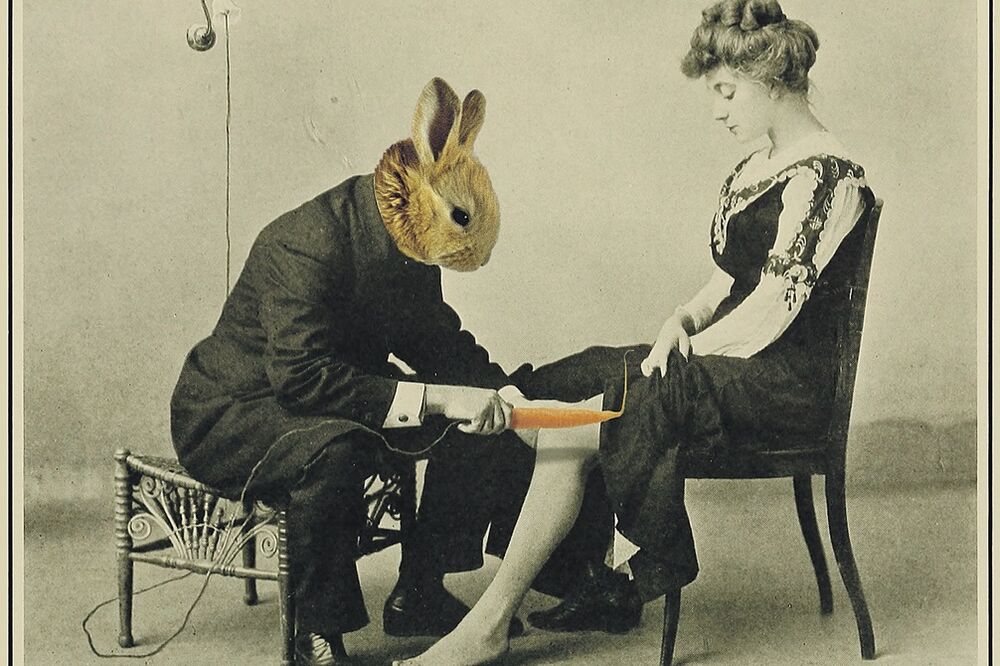 Siniša Radulović (novina)