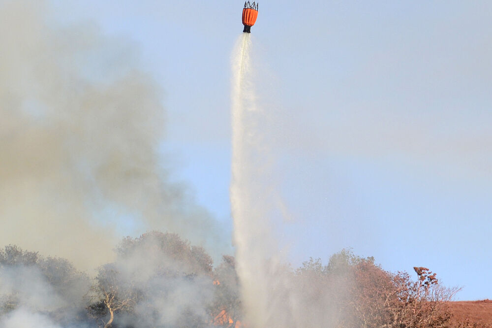 Kalifornija požar, Foto: Beta/AP