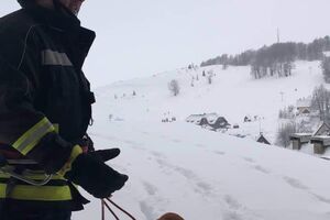 Žabljak: Vatrogasci spasili psa
