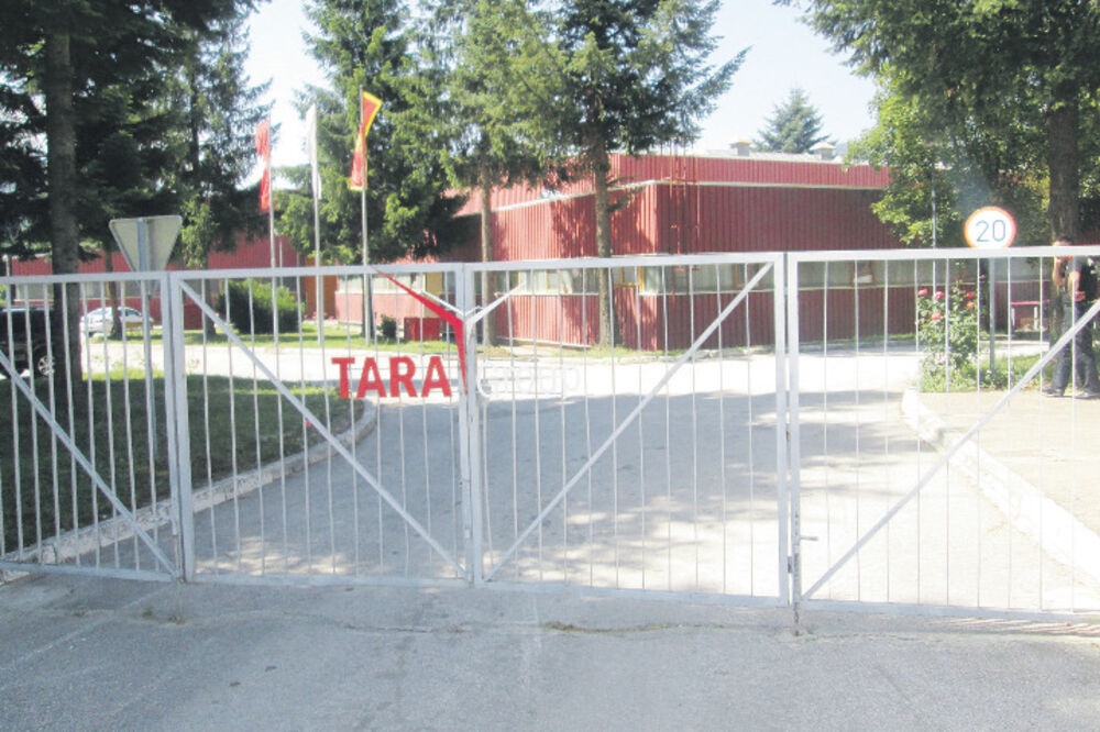 Fabrika Tara, Foto: Dragana Šćepanović