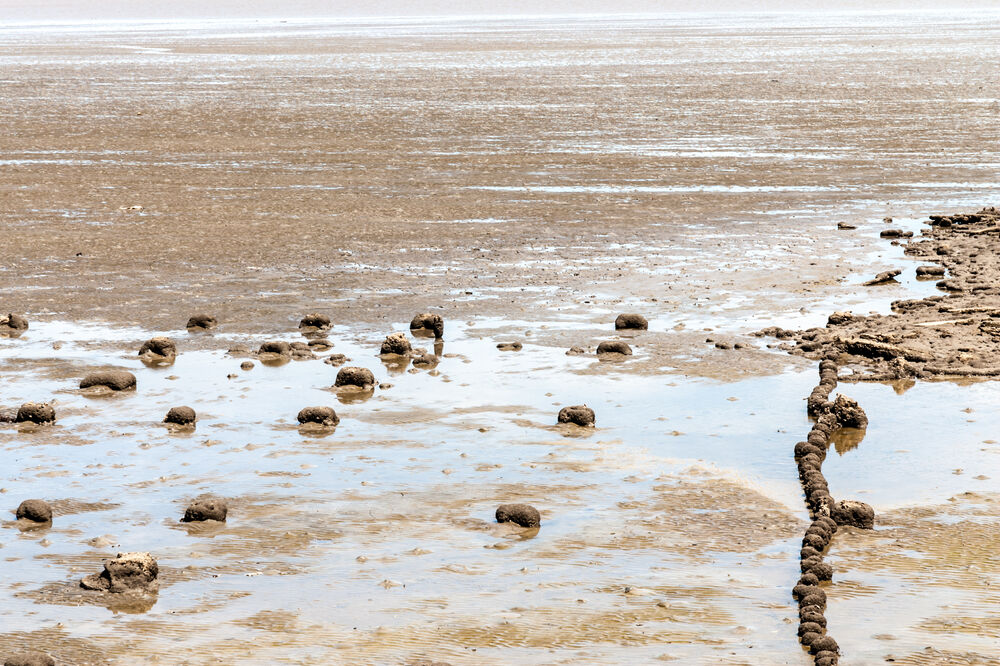 zemlja, suša, Foto: Shutterstock