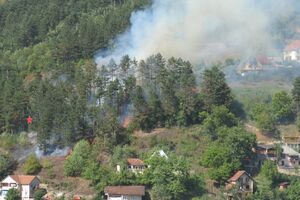 Bijelo Polje: Požar prijetio naselju Ćukovac
