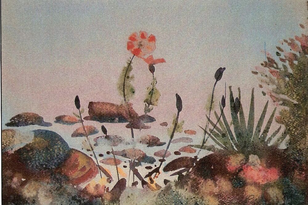 akvarel, Savo Pavlović