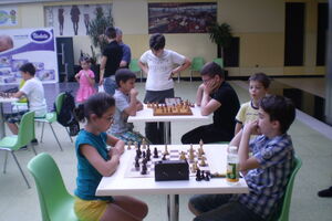 Besplatan kurs šaha u Mol of Montenegru