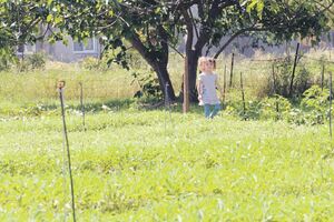 Crna Gora postaje dio unije za zaštitu novih biljnih sorti